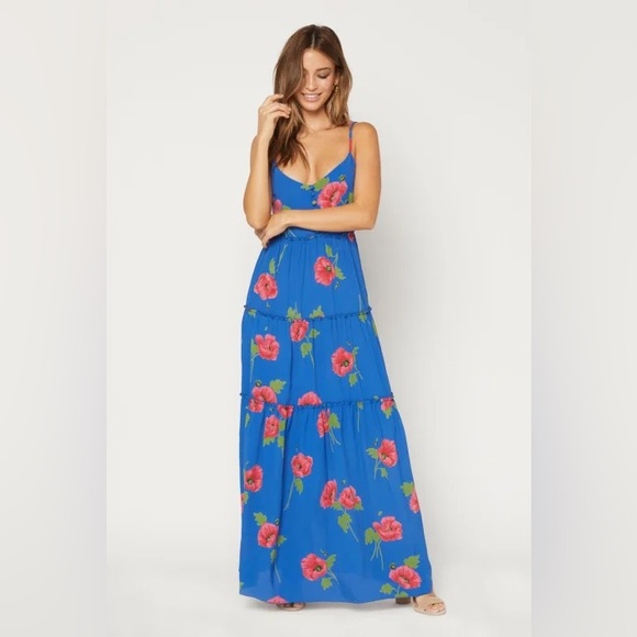 Flynn Skye Dresses & Skirts - NWT beautiful Flynn Skye blue floral maxi dress size XS